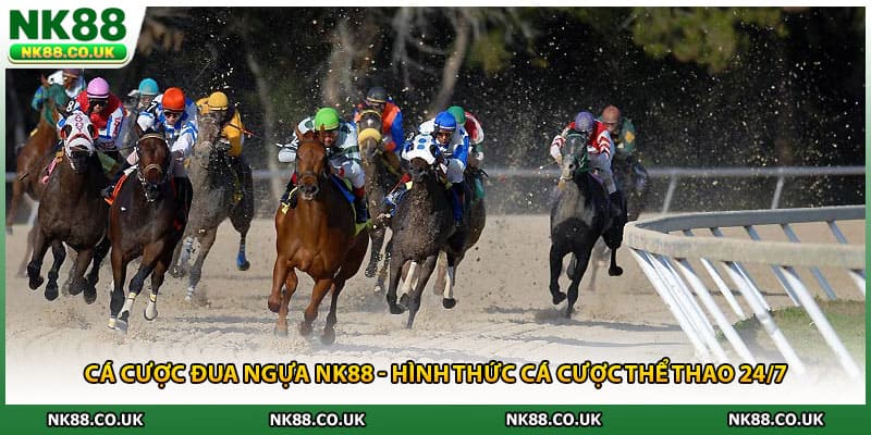 Cá Cược Đua Ngựa NK88 - Hình Thức Cá Cược Thể Thao 24/7