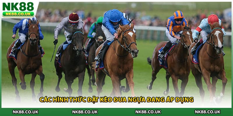 Các hình thức đặt kèo đua ngựa đang áp dụng