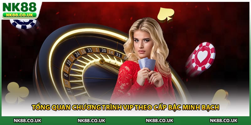 Tổng quan chương trình VIP theo cấp bậc minh bạch