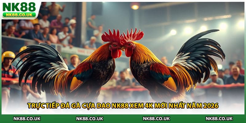 Trực Tiếp Đá Gà Cựa Dao NK88 Xem 4k Mới Nhất Năm 2026
